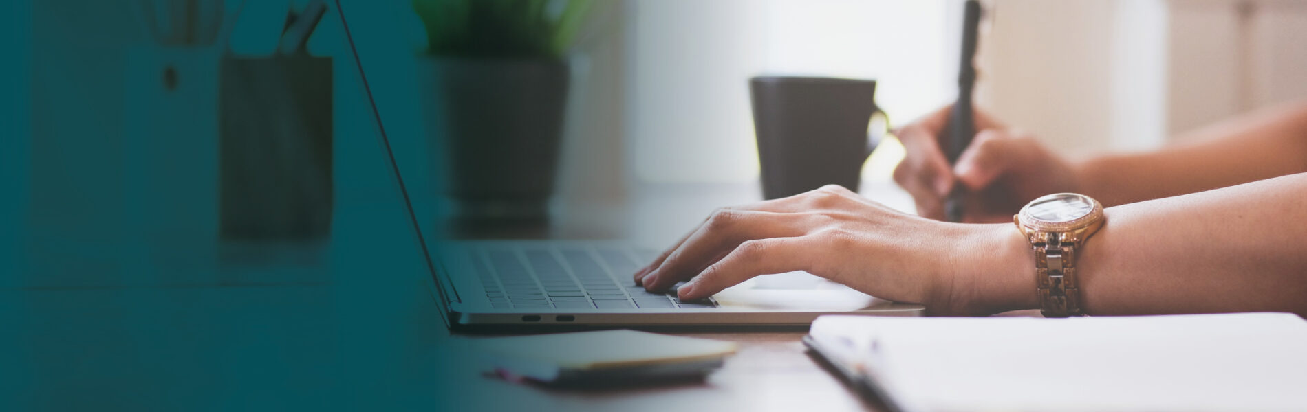 Close up of female hands typing on laptop keyboard